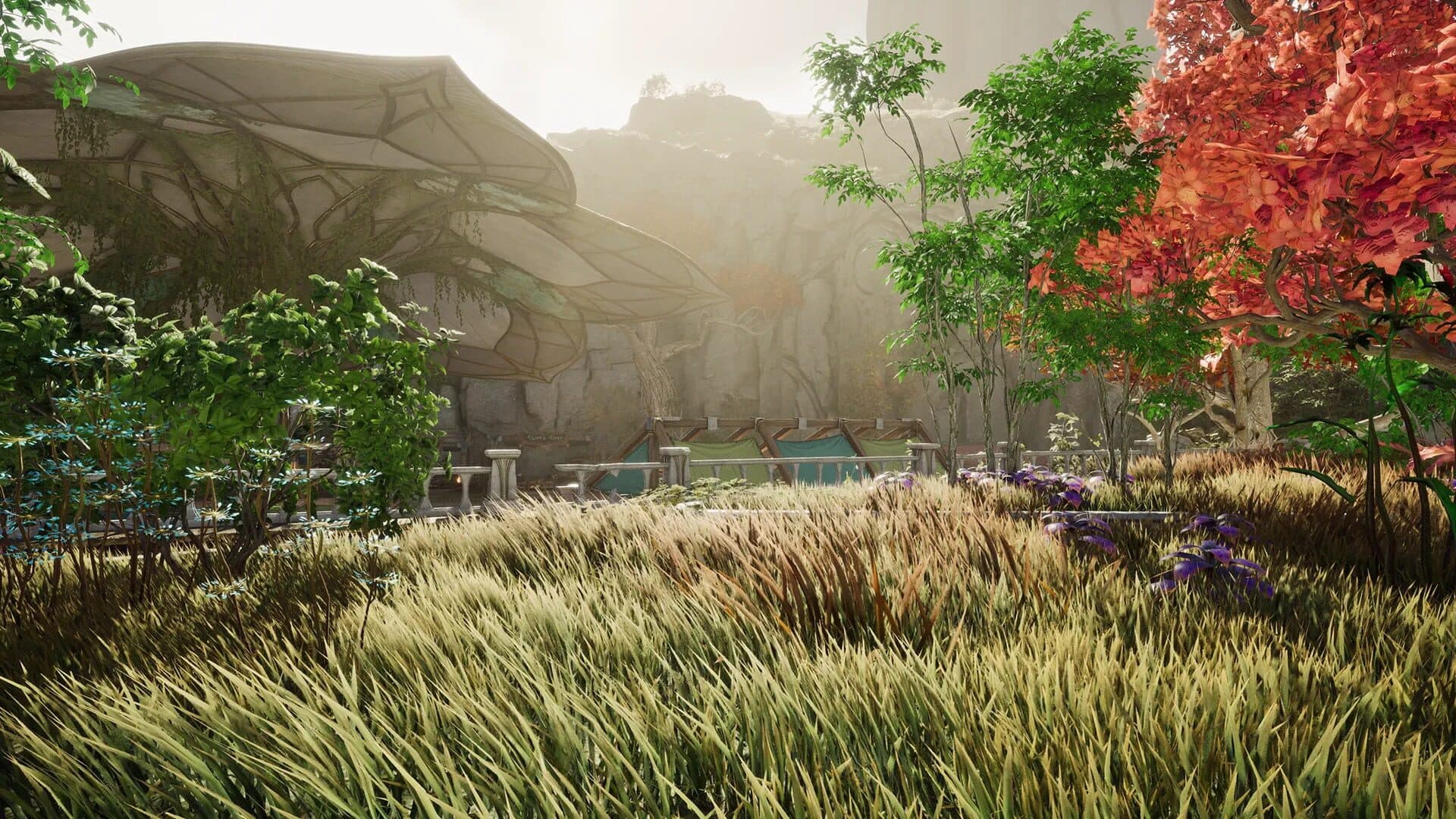 A sunlit grassy valley ringed by trees and cliffs
